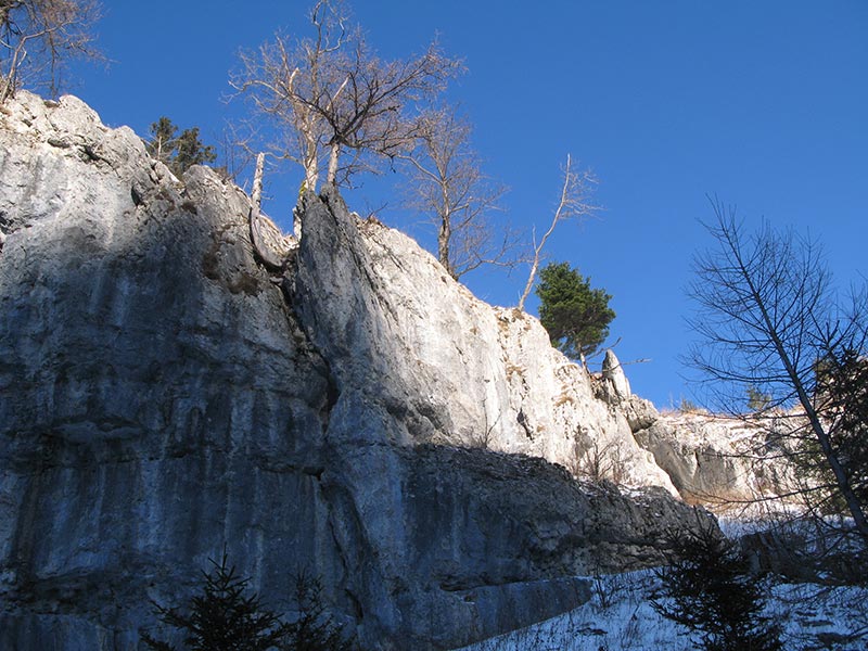 kohlberg